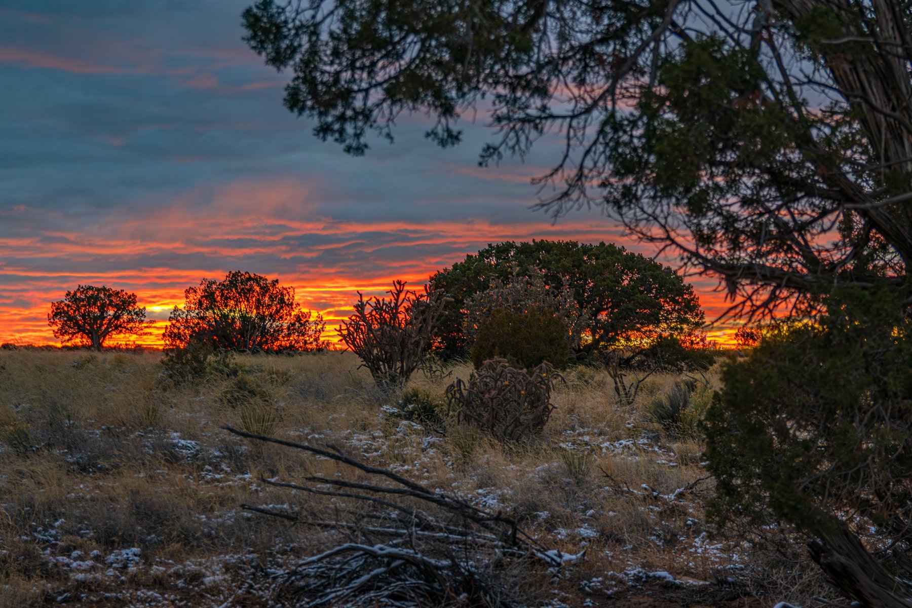 Desert Sunset
