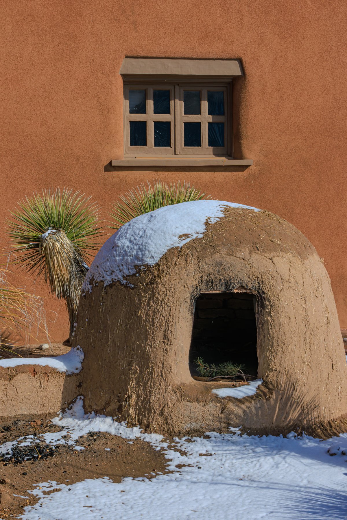 Snowy Horno